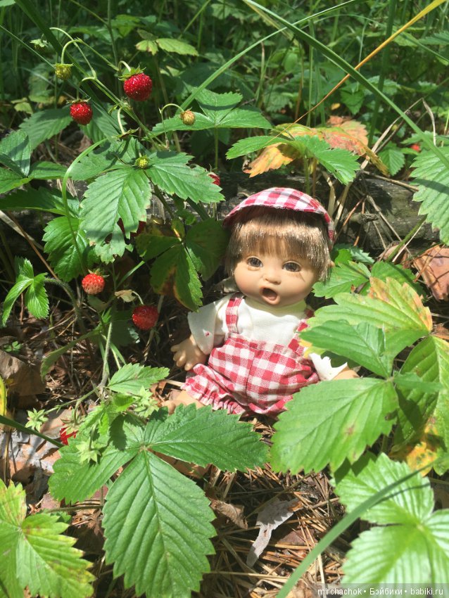 "грибалка" в земляничном раю! Гоша открыл летний сезон тихой охоты:)