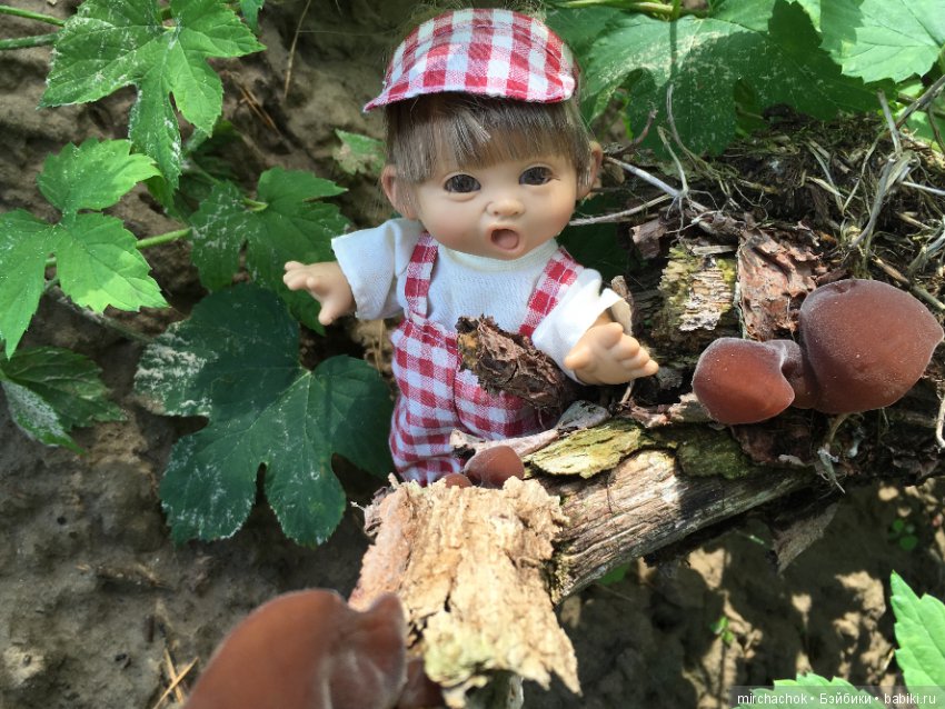 "грибалка" в земляничном раю! Гоша открыл летний сезон тихой охоты:) (фото 2)