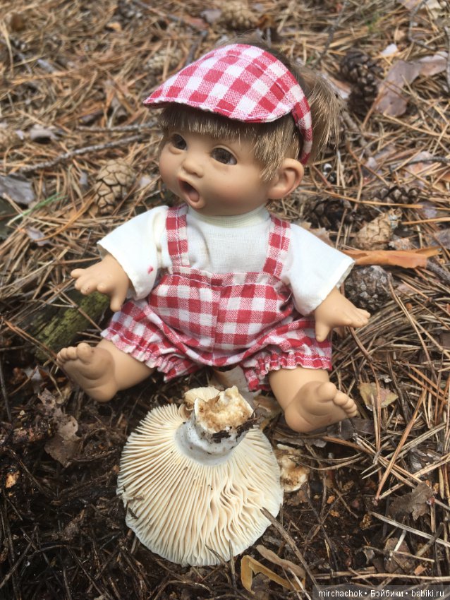 "грибалка" в земляничном раю! Гоша открыл летний сезон тихой охоты:)