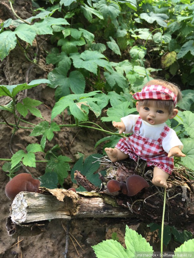 "грибалка" в земляничном раю! Гоша открыл летний сезон тихой охоты:)