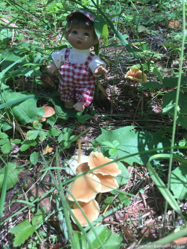 "грибалка" в земляничном раю! Гоша открыл летний сезон тихой охоты:)