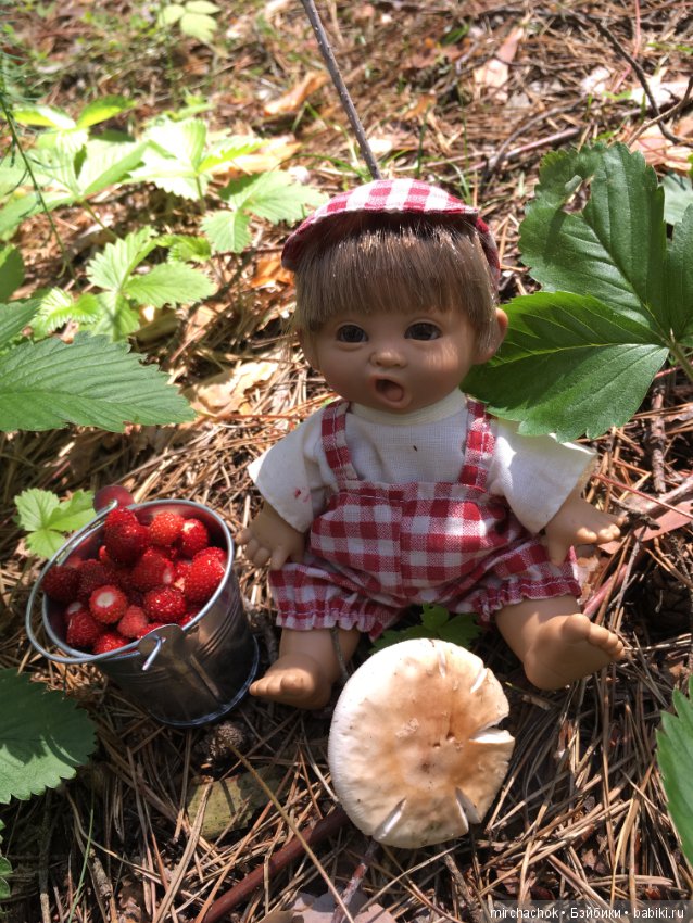 "грибалка" в земляничном раю! Гоша открыл летний сезон тихой охоты:)