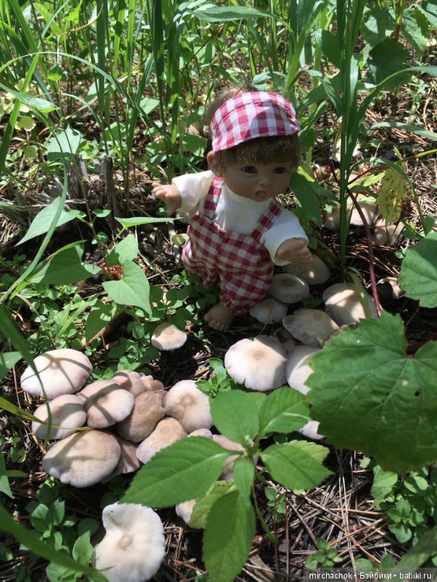 "грибалка" в земляничном раю! Гоша открыл летний сезон тихой охоты:) (фото 3)