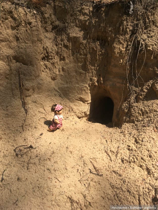 "грибалка" в земляничном раю! Гоша открыл летний сезон тихой охоты:)