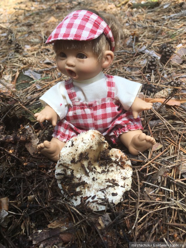 "грибалка" в земляничном раю! Гоша открыл летний сезон тихой охоты:)