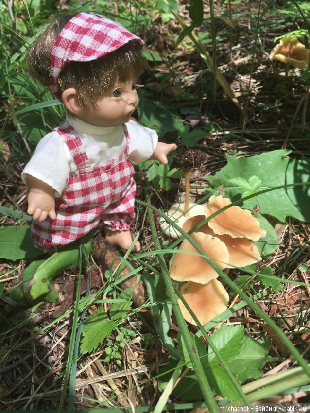 "грибалка" в земляничном раю! Гоша открыл летний сезон тихой охоты:)
