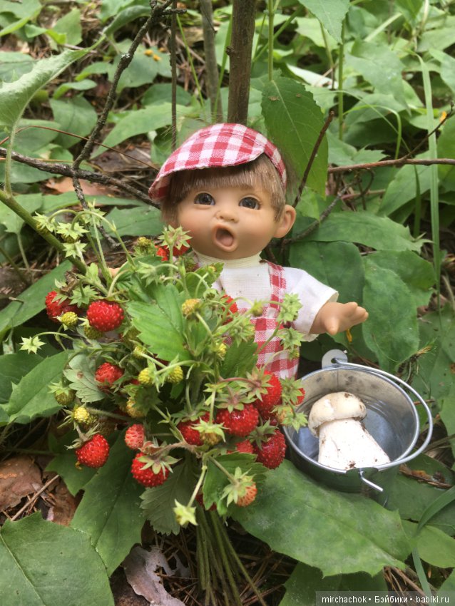 "грибалка" в земляничном раю! Гоша открыл летний сезон тихой охоты:)