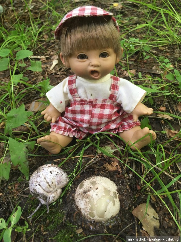 "грибалка" в земляничном раю! Гоша открыл летний сезон тихой охоты:)