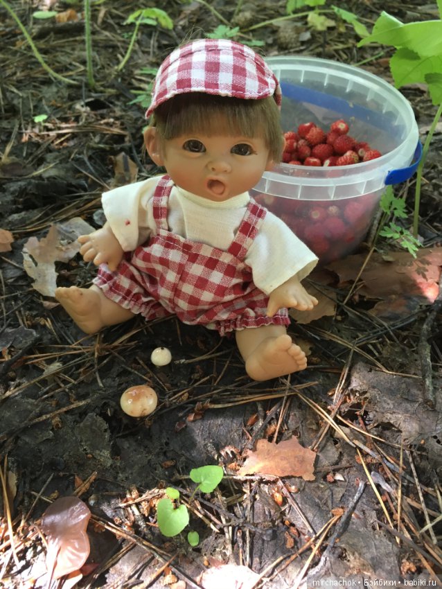 "грибалка" в земляничном раю! Гоша открыл летний сезон тихой охоты:)