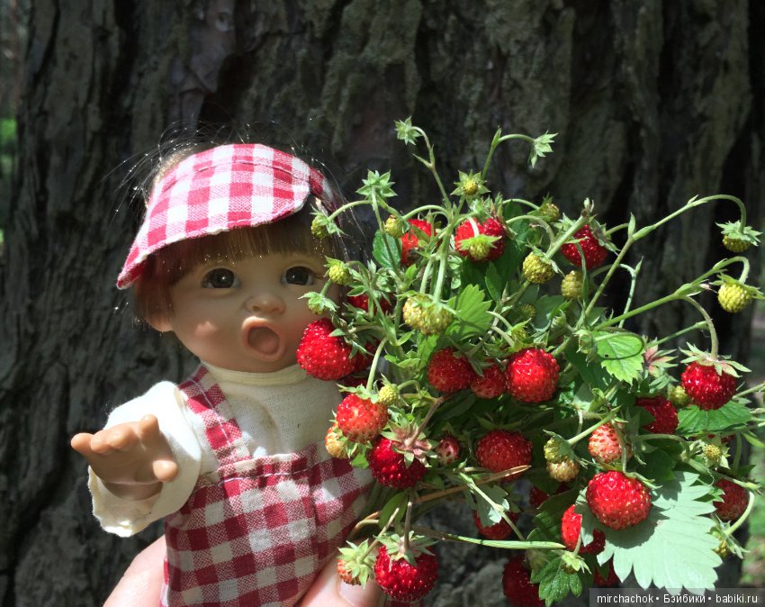"грибалка" в земляничном раю! Гоша открыл летний сезон тихой охоты:)