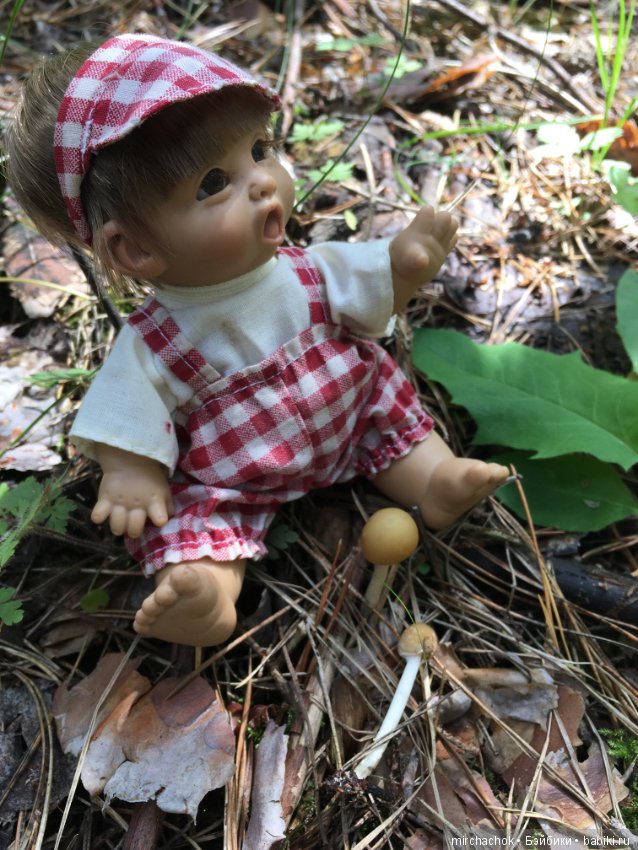 "грибалка" в земляничном раю! Гоша открыл летний сезон тихой охоты:)