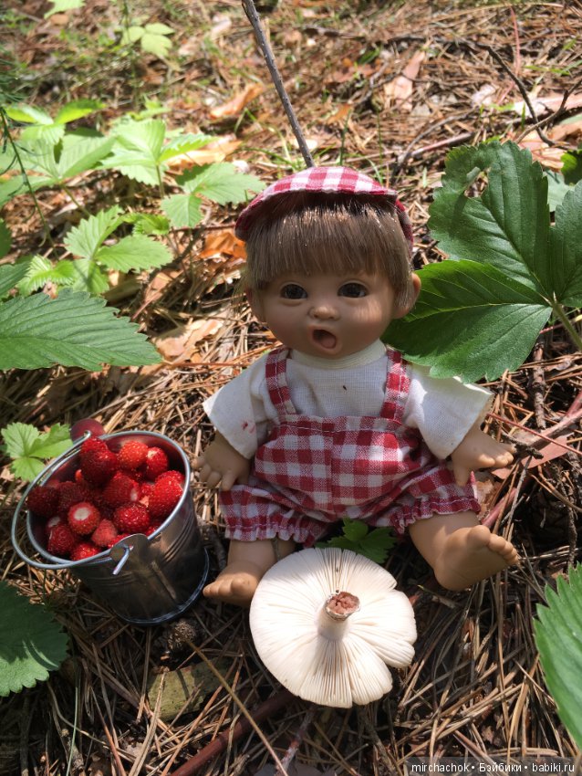 "грибалка" в земляничном раю! Гоша открыл летний сезон тихой охоты:)