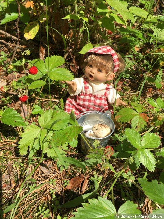 "грибалка" в земляничном раю! Гоша открыл летний сезон тихой охоты:) (фото 8)