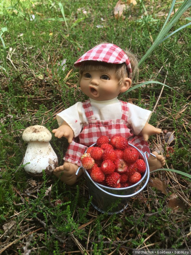 "грибалка" в земляничном раю! Гоша открыл летний сезон тихой охоты:)