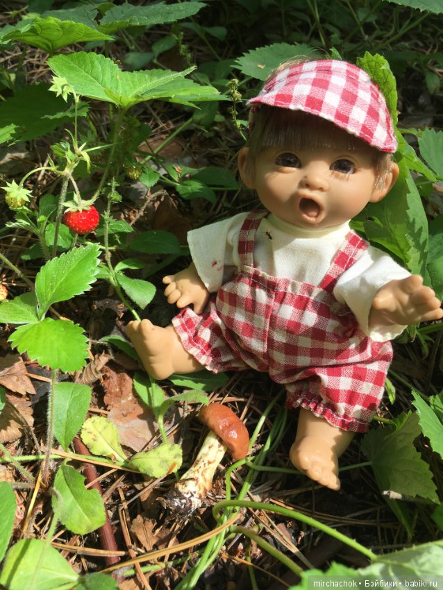 "грибалка" в земляничном раю! Гоша открыл летний сезон тихой охоты:)