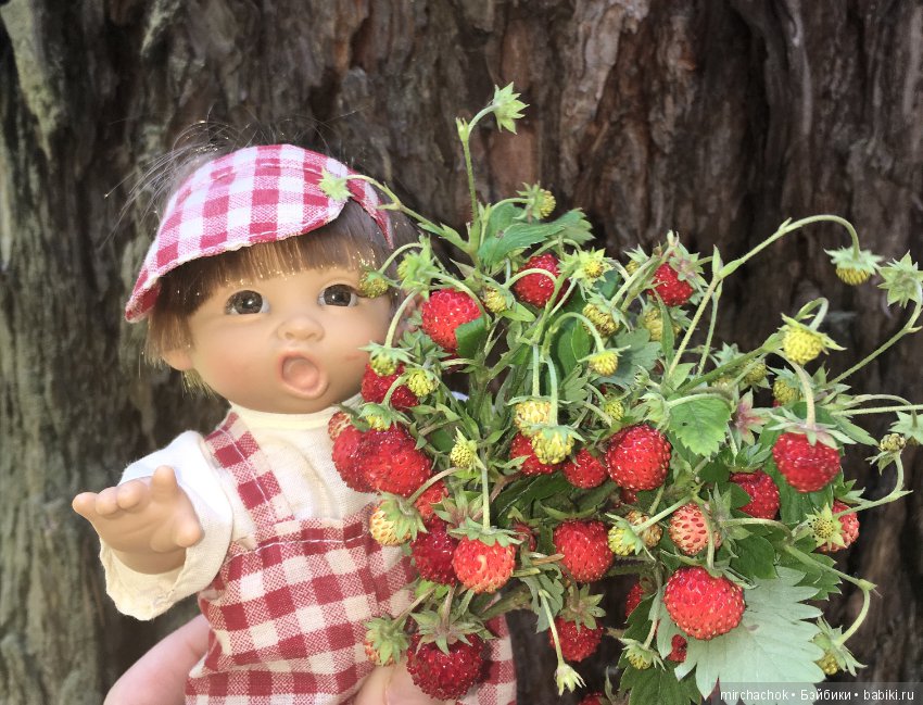 "грибалка" в земляничном раю! Гоша открыл летний сезон тихой охоты:)