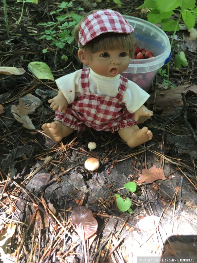 "грибалка" в земляничном раю! Гоша открыл летний сезон тихой охоты:)