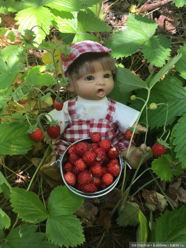 "грибалка" в земляничном раю! Гоша открыл летний сезон тихой охоты:)
