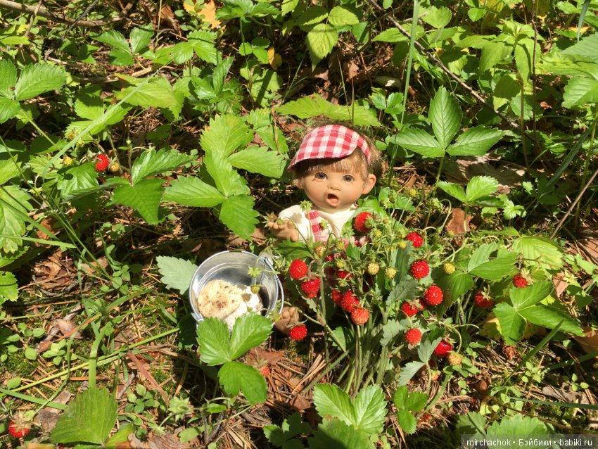 "грибалка" в земляничном раю! Гоша открыл летний сезон тихой охоты:)