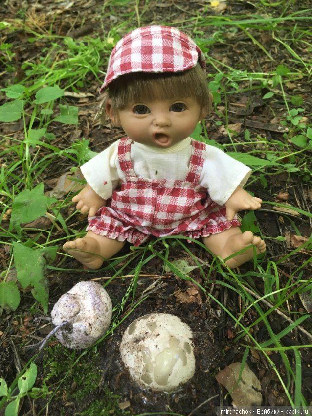 "грибалка" в земляничном раю! Гоша открыл летний сезон тихой охоты:)