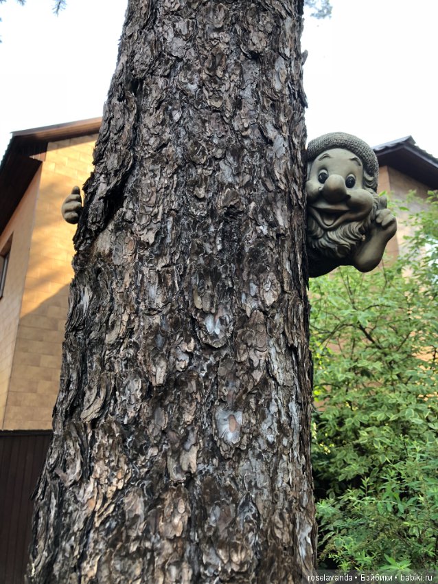 Садовые жители — Болталка и разговоры обо всем: жизнь (фото 3)