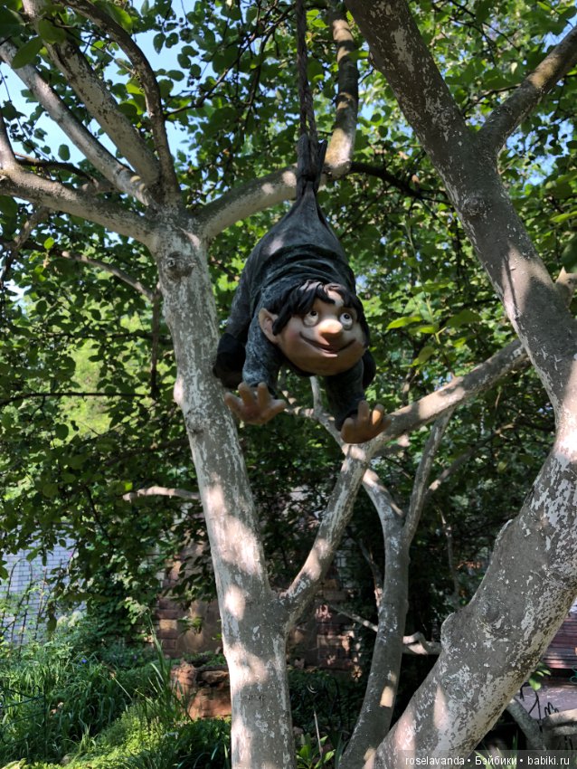 Садовые жители — Болталка и разговоры обо всем: жизнь (фото 6)