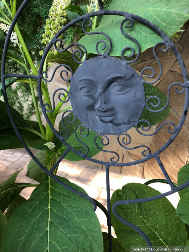 Садовые жители — Болталка и разговоры обо всем: жизнь (фото 8)