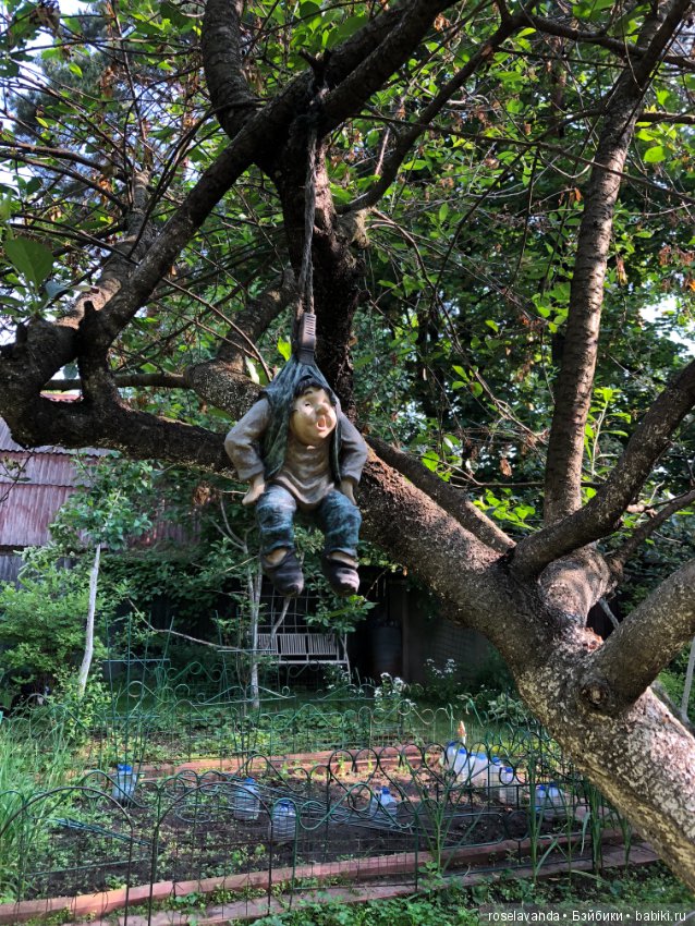 Садовые жители — Болталка и разговоры обо всем: жизнь (фото 10)