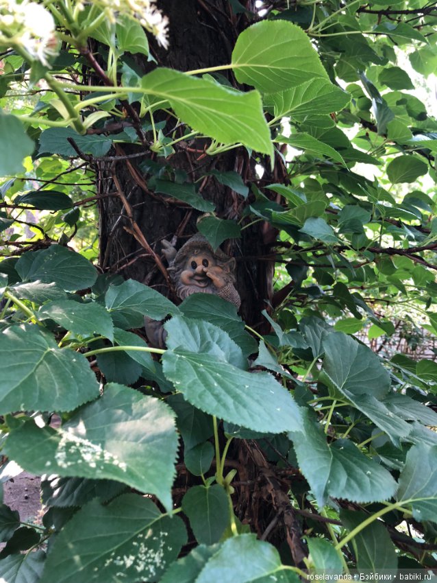 Садовые жители — Болталка и разговоры обо всем: жизнь (фото 2)