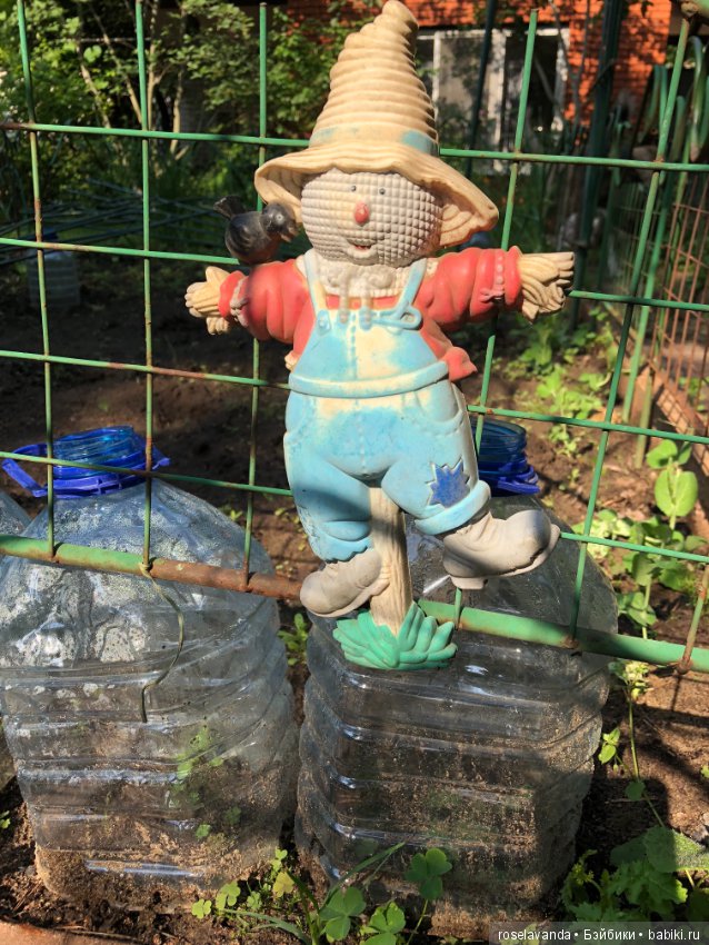 Садовые жители — Болталка и разговоры обо всем: жизнь (фото 7)