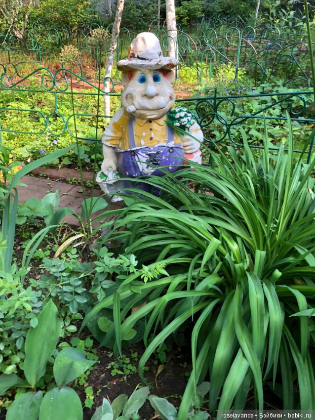 Садовые жители — Болталка и разговоры обо всем: жизнь (фото 5)