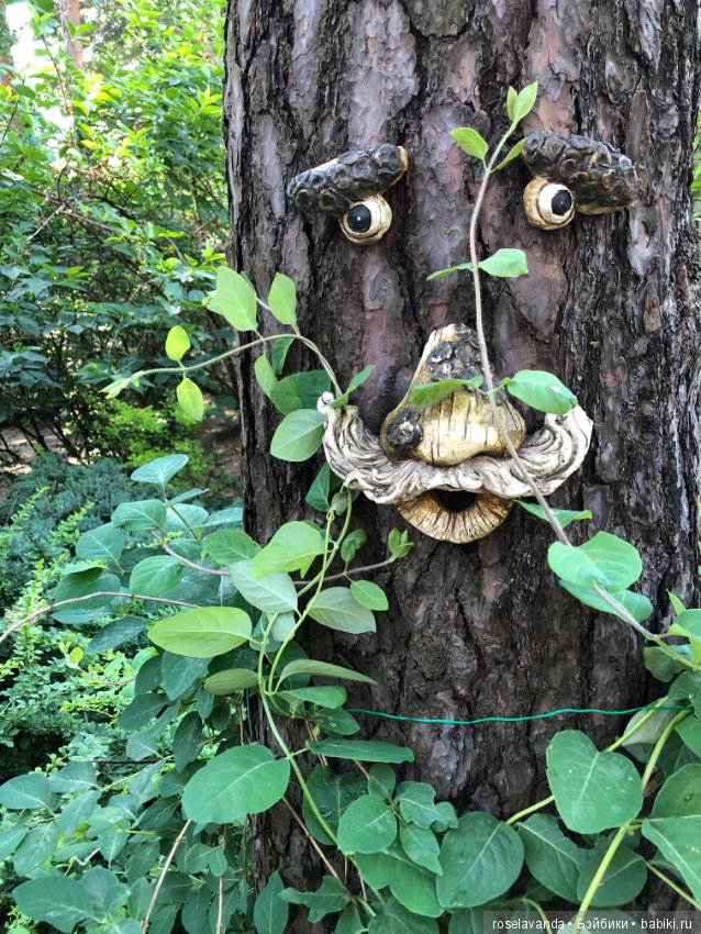 Садовые жители — Болталка и разговоры обо всем: жизнь