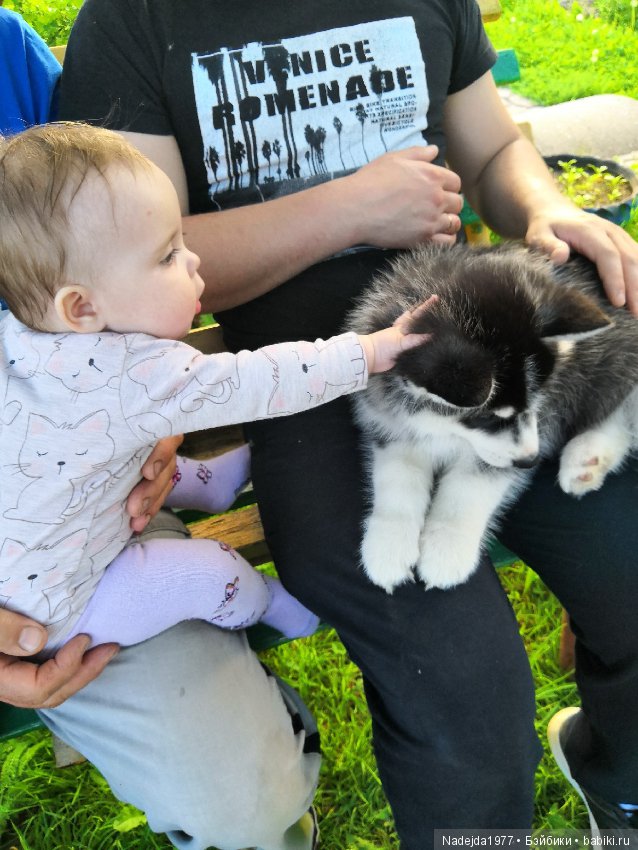 Бижу в новом платье — Куклы Bratz (Братц) и Moxie Girlz: MGA