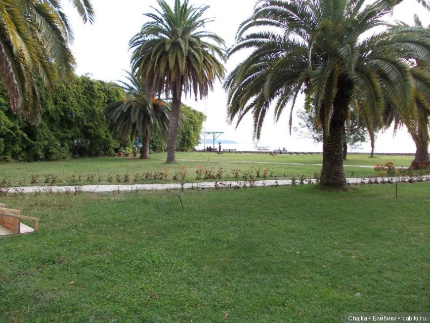 Небольшое виртуальное путешествие по Абхазии (фото 3)