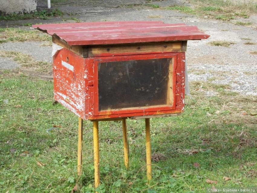 Небольшое виртуальное путешествие по Абхазии (фото 5)