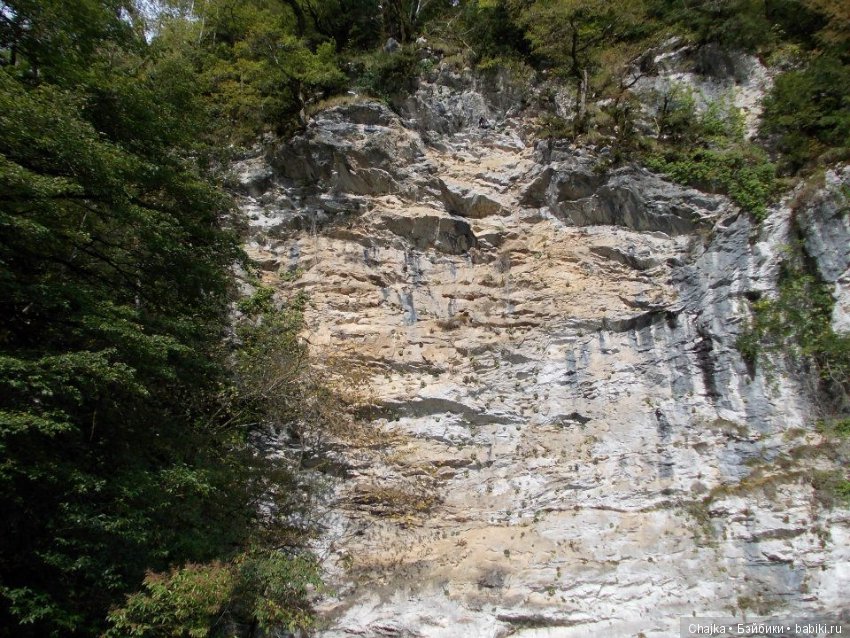 Небольшое виртуальное путешествие по Абхазии (фото 7)