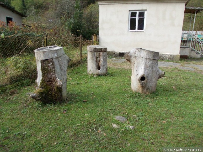 Небольшое виртуальное путешествие по Абхазии (фото 4)