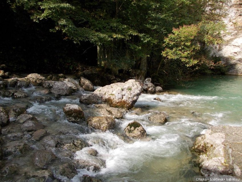 Небольшое виртуальное путешествие по Абхазии (фото 6)