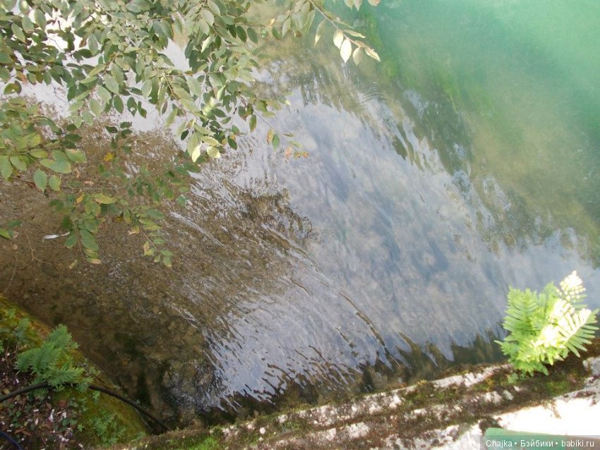 Небольшое виртуальное путешествие по Абхазии (фото 10)