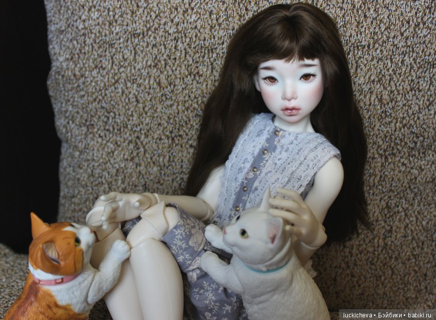 Ленивые выходные. Файлин и шарнирные котики манчкины (фото 2)