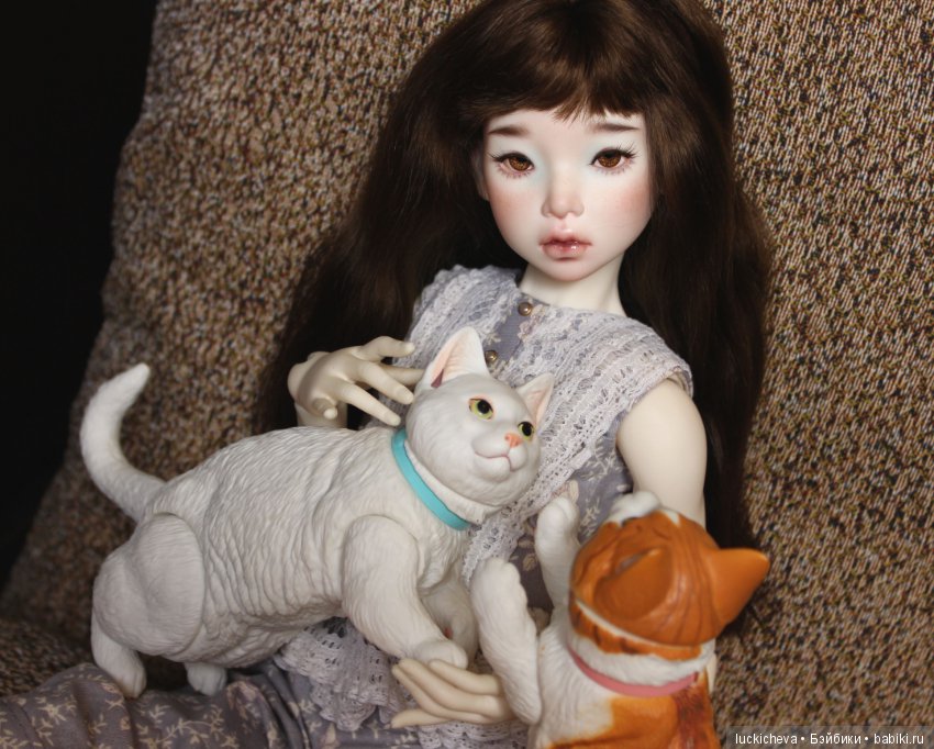 Ленивые выходные. Файлин и шарнирные котики манчкины