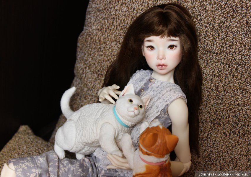 Ленивые выходные. Файлин и шарнирные котики манчкины