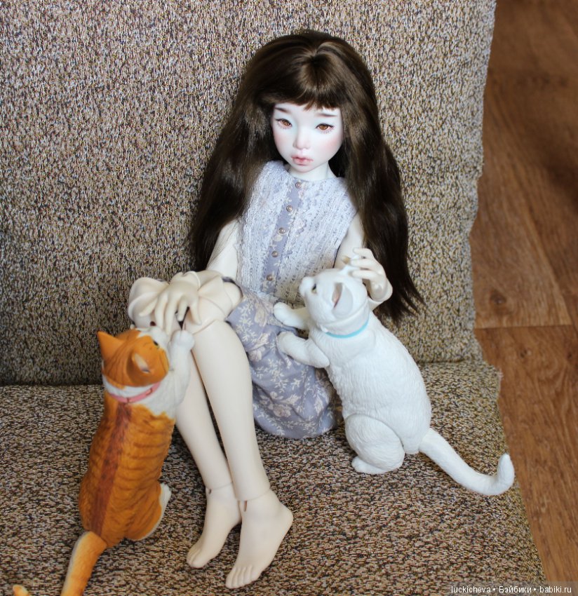 Ленивые выходные. Файлин и шарнирные котики манчкины