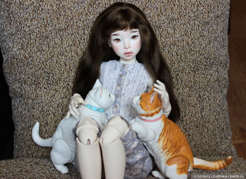 Ленивые выходные. Файлин и шарнирные котики манчкины