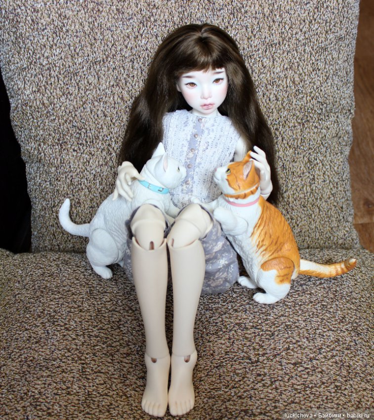 Ленивые выходные. Файлин и шарнирные котики манчкины (фото 8)