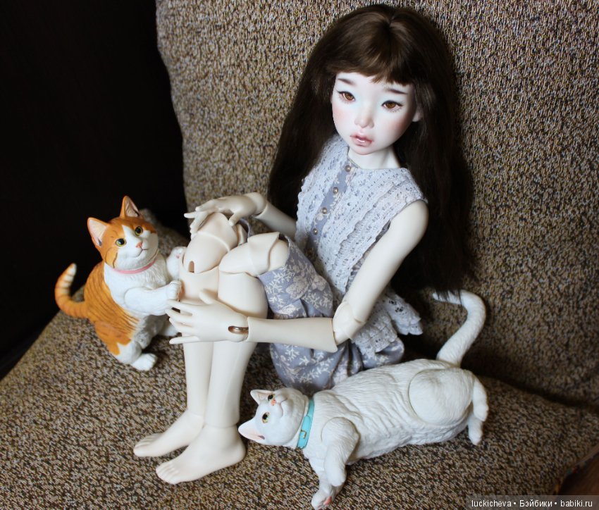 Ленивые выходные. Файлин и шарнирные котики манчкины