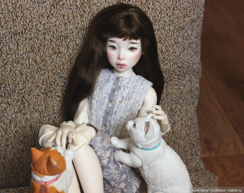 Ленивые выходные. Файлин и шарнирные котики манчкины (фото 4)