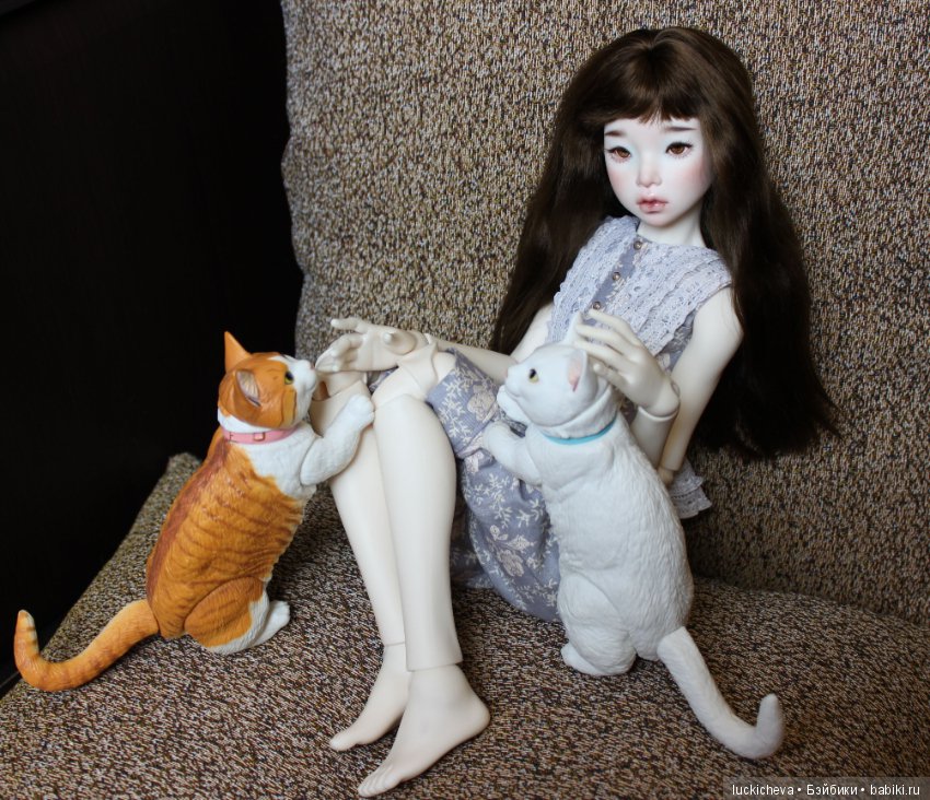 Ленивые выходные. Файлин и шарнирные котики манчкины (фото 3)