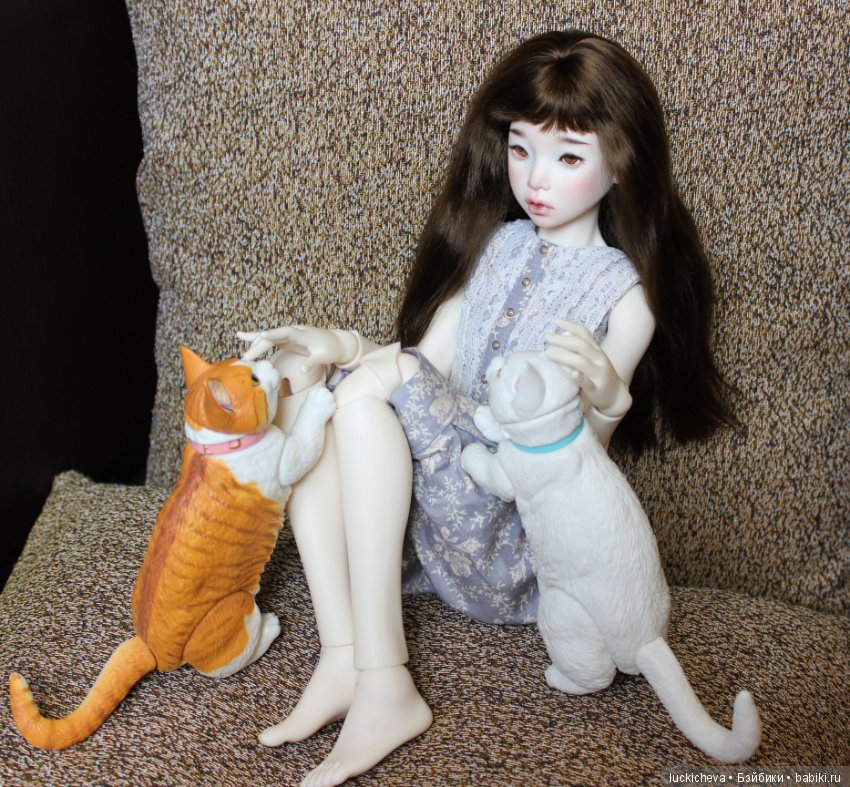 Ленивые выходные. Файлин и шарнирные котики манчкины (фото 5)