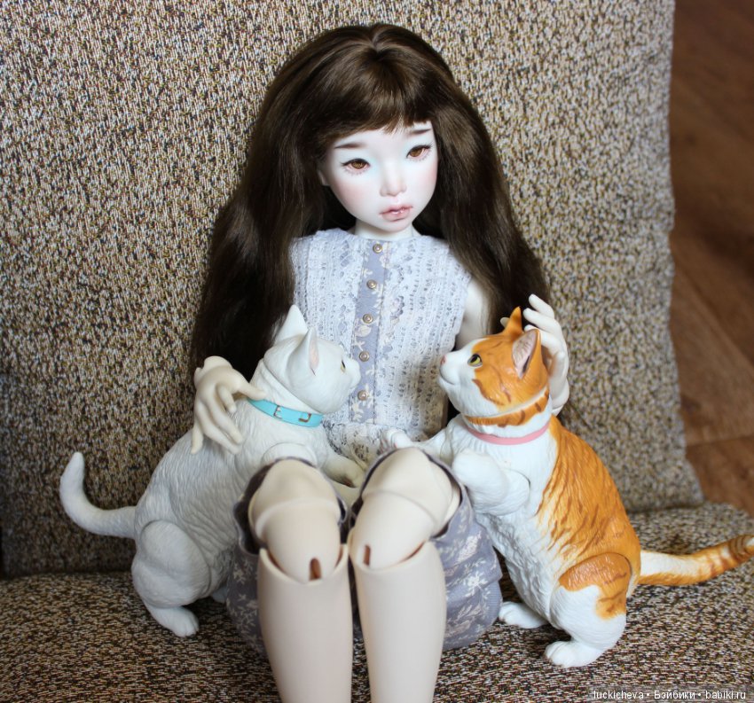 Ленивые выходные. Файлин и шарнирные котики манчкины (фото 6)